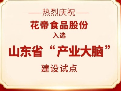 花帝食品股份 丨 入選山東省“產(chǎn)業(yè)大腦”建設(shè)試點，引領(lǐng)食品配料產(chǎn)業(yè)數(shù)字化升級