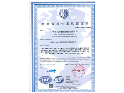 質量管理體系9001認證證書中文版