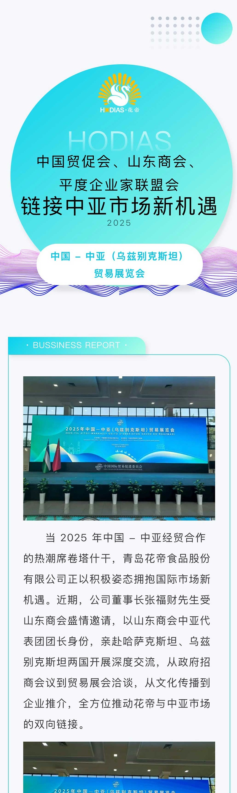 9538855d-b62b-43a4-9123-4d1531d8397a_01