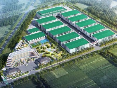 花帝公司丨省重點優(yōu)選項目建設(shè)假期不停工，企盼新年開門紅